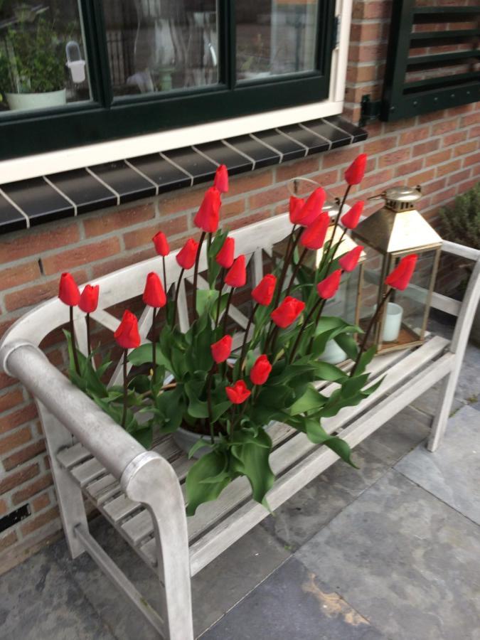 Flowerbed Voorhout Kültér fotó