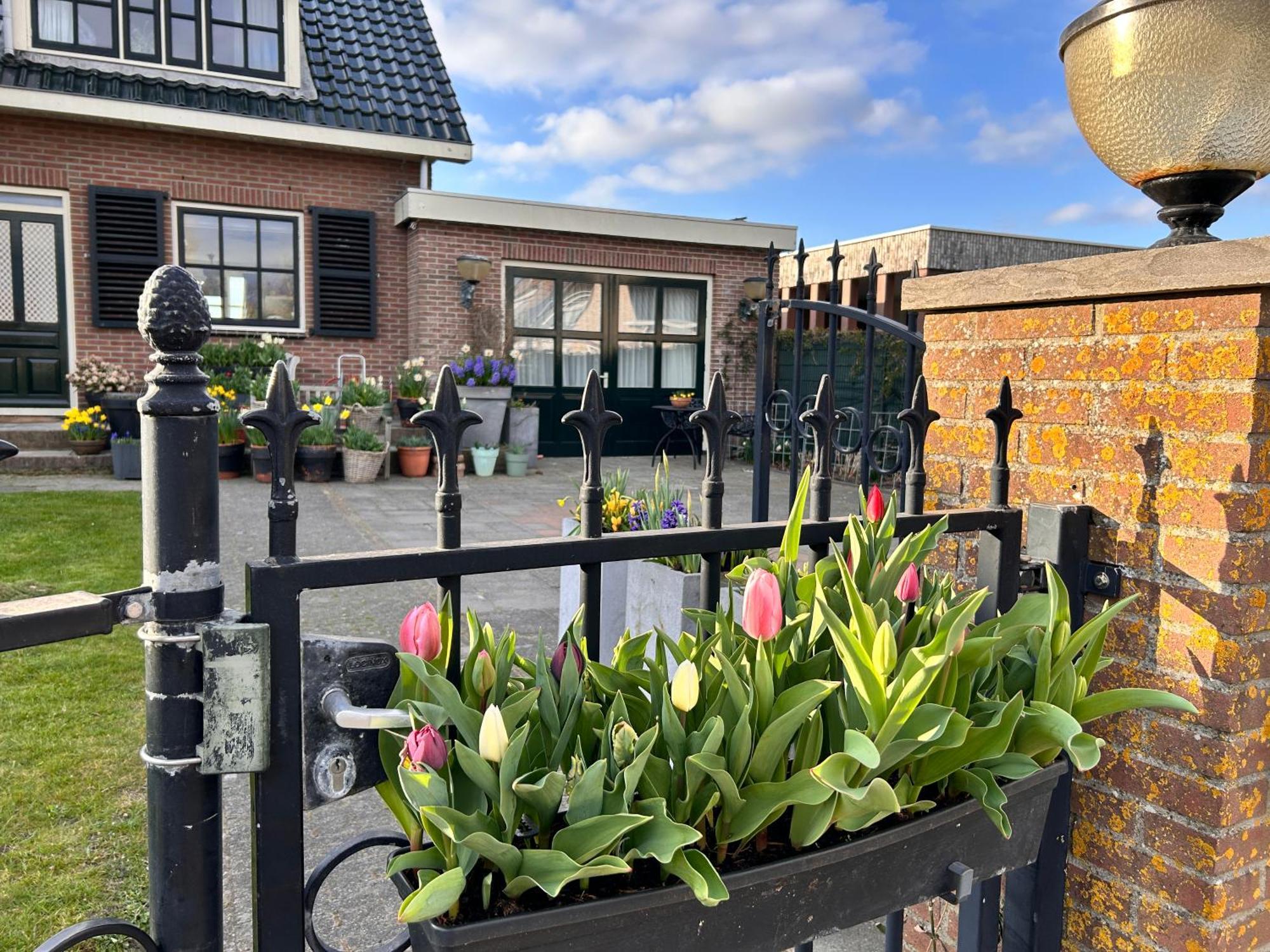 Flowerbed Voorhout Kültér fotó